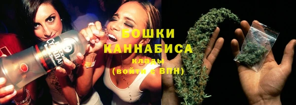 прущая мука Вяземский