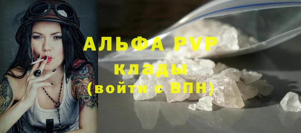прущая мука Вяземский