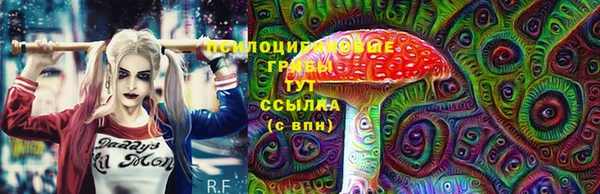 тгк Вязьма