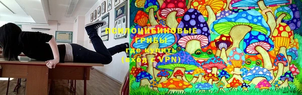 СК Вязники
