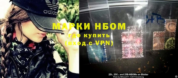 прущая мука Вяземский