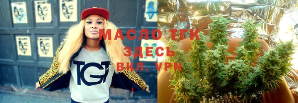 прущая мука Вяземский