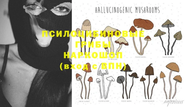 ешки Горно-Алтайск