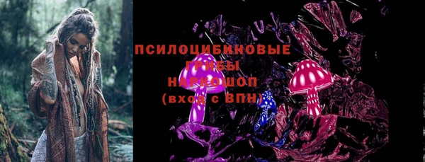СК Вязники