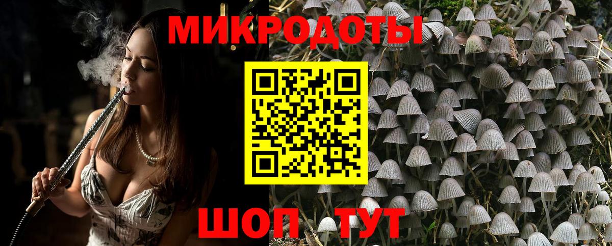 Галлюциногенные грибы Psilocybe Мценск